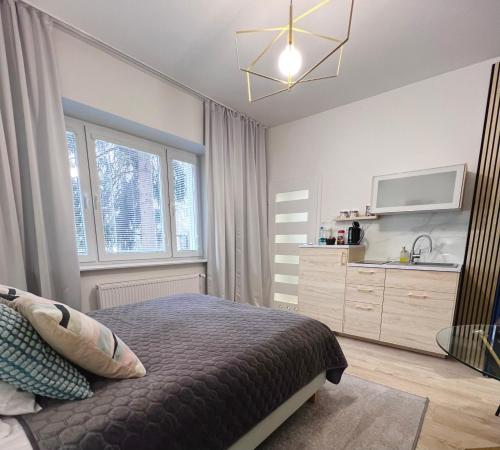 1 dormitorio con 1 cama, TV y vestidor en Apartamenty Pokoje Willa Bielany, en Varsovia
