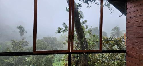 a window with a view of a tree at TREE6 WAYANAD in Vythiri