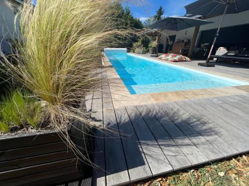 a swimming pool with tall grass next to a house at SOCOA LE CABANON in Lacanau