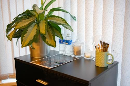 a black cabinet with a potted plant on top of it at Cozy rooms in shared accommodation near Anfield Stadium with PARKING and WIFI in Liverpool