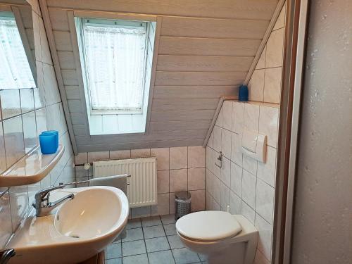 Pension Hessenmühle في Haundorf: حمام صغير مع مرحاض ومغسلة