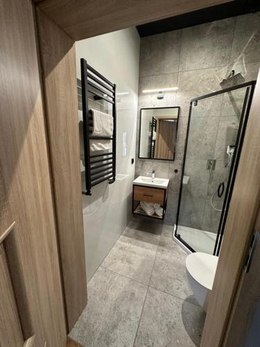 科希強的住宿－Hotel Nenufar Premium，浴室配有卫生间、盥洗盆和淋浴。