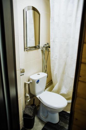 a bathroom with a toilet and a mirror at «У полоні гір» in Verkhovyna