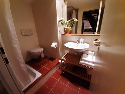 ein Badezimmer mit einem Waschbecken, einem WC und einem Spiegel in der Unterkunft Historischer Adelshof am Marktplatz, Atelier 70 m² in Weinheim