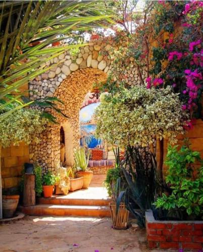 Сад в Dream Lodge Siwa دريم لودج سيوة