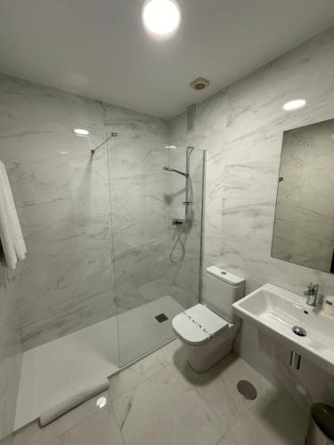 a bathroom with a shower and a toilet and a sink at Hotel Compostela Vigo in Vigo