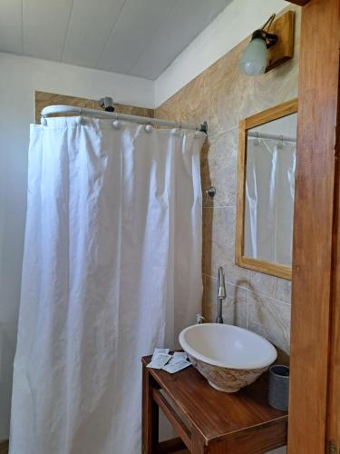 a bathroom with a sink and a shower curtain at Hostal El soleado in Navarro