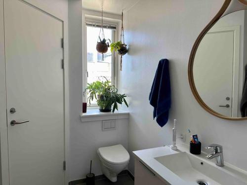 a bathroom with a toilet and a sink and a mirror at Penthouse: Copenhagen delight in Copenhagen