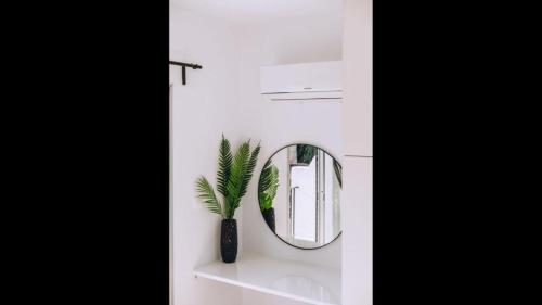 a mirror on a shelf with a plant in a vase at Royal Townhouse in Center Paphos in Paphos City