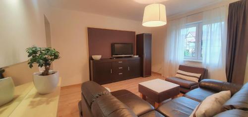 ein Wohnzimmer mit einem Sofa und einem TV in der Unterkunft Apartamenty Bystrzycka 63 in Polanica-Zdrój