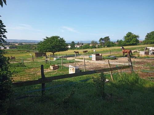 Φωτογραφία από το άλμπουμ του Domaine de Cozance chambres d'hôtes et gîte - piscine mini-ferme σε Anjou