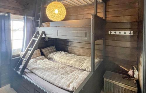 a bunk bed with a ladder in a room at 2 Bedroom Lovely Home In Bjorli in Bjorli