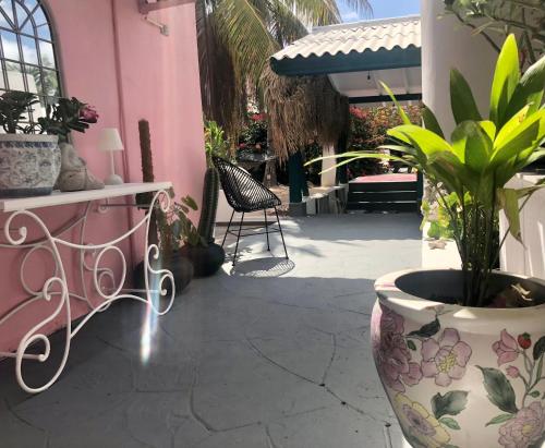 a plant in a large vase next to a pink building at Mini boutique resort exclusively for your family or friends in Willemstad