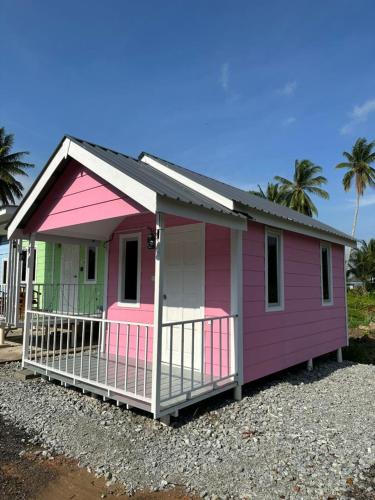 豐盛港的住宿－Kabin Pink，一座粉红色的绿色房子,后面种有棕榈树