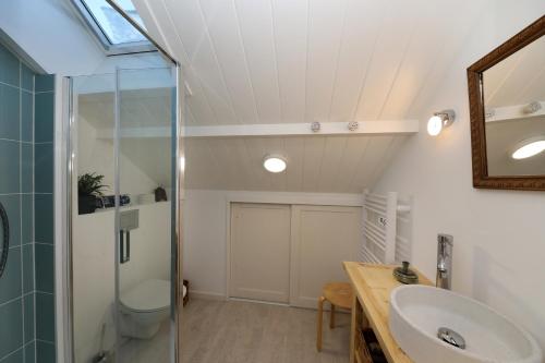 une salle de bain avec un lavabo et une douche dans l'établissement Duplex Fa7 - Duplex éco-rénové, à La Bresse