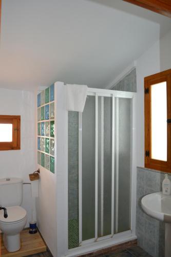 een badkamer met een douche, een toilet en een wastafel bij Casica de los Pastores in Alpera