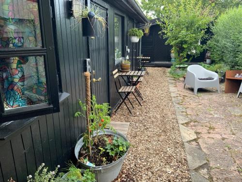 a patio with a plant in a pot next to a building at Spiced Bed&Breakfast in Nykøbing Falster