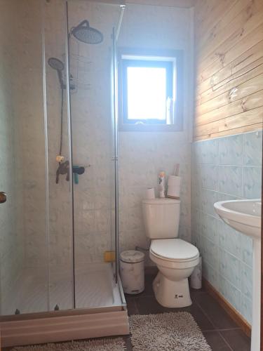 a bathroom with a shower and a toilet and a sink at Refugio Golondrina in Futrono