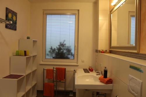 a bathroom with a sink and a mirror and a window at Sport Rees - Ferienwohnung Ulrike in Hofsgrund