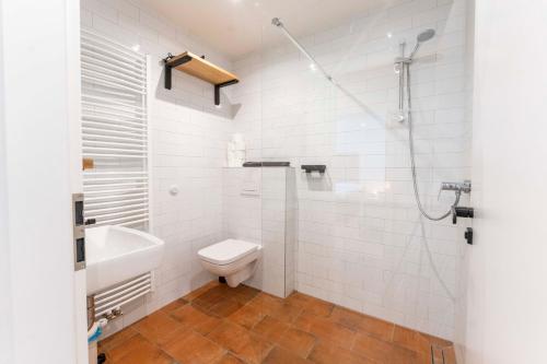 a bathroom with a toilet and a sink and a shower at Vila Kouty in Loučná nad Desnou