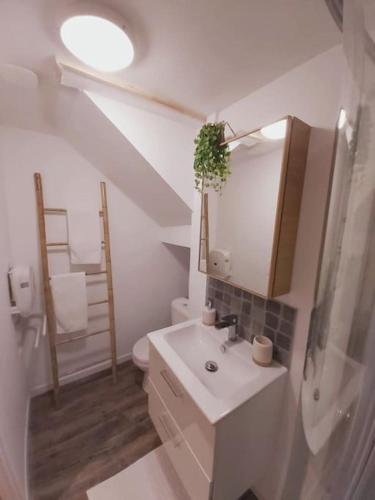 une salle de bain blanche avec un lavabo et des toilettes dans l'établissement Duplex Cosy 2, à Gouesnou