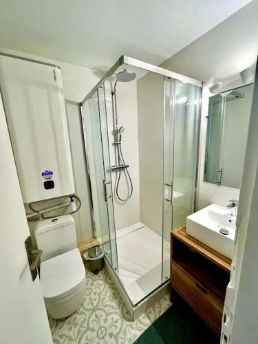 une salle de bain avec une douche, des toilettes et un lavabo dans l'établissement T3 souplex entre gare & Nansouty, à Bordeaux