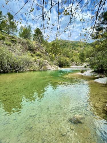 a river with green water and trees in the background at Holiday appartement in Lucena del Cid- Basement A Ref 049 in Lucena del Cid