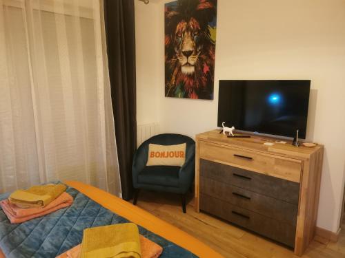 シャンプニエにあるAngoulême Nord location Chambre indépendanteのベッドルーム(ベッド1台、ドレッサー内のテレビ付)