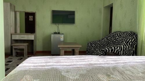 ein Schlafzimmer mit einem Bett, einem Stuhl und einem TV in der Unterkunft Pamir Hotel-Hostel in Duschanbe