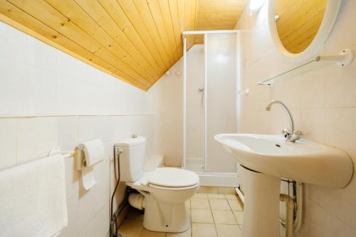 a bathroom with a white toilet and a sink at Appartement 5 pers in Saint-Sorlin-dʼArves