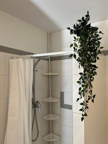 a bathroom with a shower curtain and a plant at Charming country house and garden 