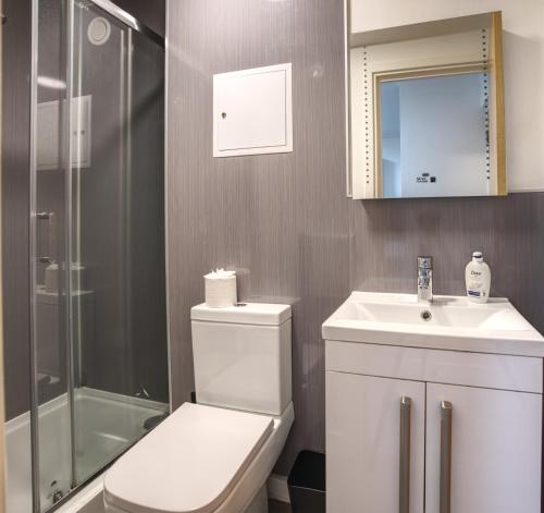 a bathroom with a toilet and a sink and a shower at #24 Phoenix Court By DerBnB, Modern 2 Bedroom Apartment, Wi-Fi, Netflix & Within Walking Distance Of The City Centre in Sheffield