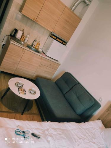 a room with a couch and a table and a sink at Tribu apartment 204 in Bakuriani