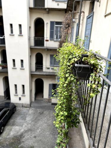 La Corte dei Creativi Comodo e Centrale