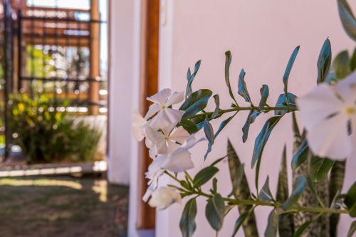Κήπος έξω από το Pousada Refugio da Harmonia