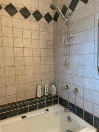 a bathroom with a shower and a bath tub at V's Iris Haven in Abilene