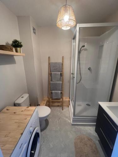 La salle de bains est pourvue d'une douche et de toilettes. dans l'établissement Studio Le Mer'Veilleux, à Calais