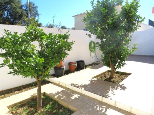 Ảnh trong thư viện ảnh của Casa Julieta ở Lozenets