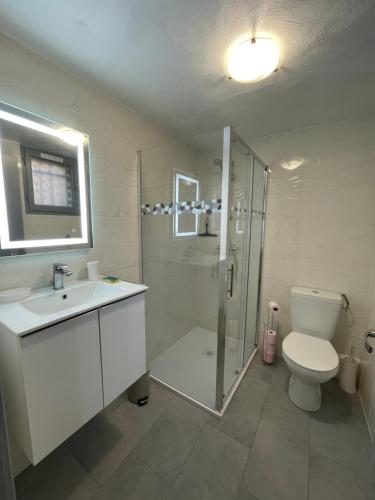 une salle de bain avec toilettes, douche et lavabo dans l'établissement San Lucianu - Appt vue mer et montagne, à LʼÎle-Rousse