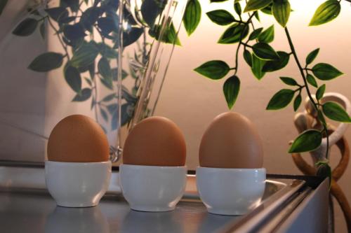 four eggs in egg cups on a table with a plant at Hotel Victoria in Cuneo
