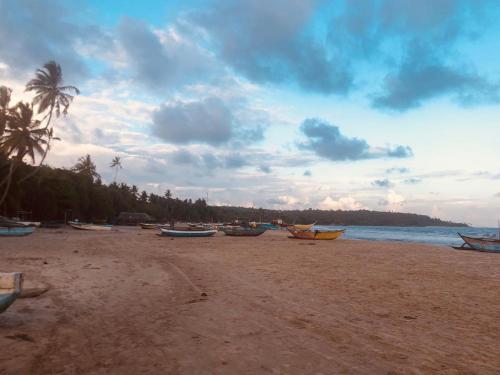 a group of boats on a beach with a palm tree at Simplex Sea Place in Tangalle