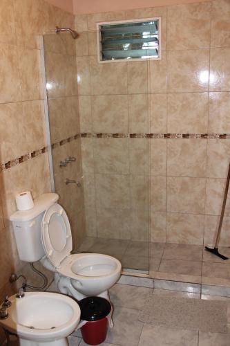 een badkamer met een toilet en een douche bij CV Apart in Resistencia