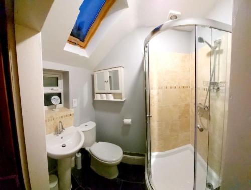 a bathroom with a shower and a toilet and a sink at Woodys Retreat Cosy One Bed Cottage in Belper