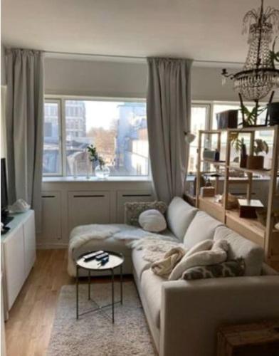 馬爾默的住宿－Malmö innerstad，带沙发和窗户的客厅