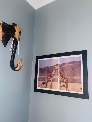 Fotografie z fotogalerie ubytování KILIMANJARO HOME OF RASON v destinaci Msaranga