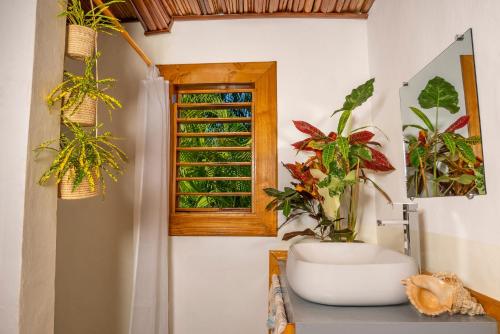 a bathroom with a window and some plants at Komba Cabana in Nosy Komba