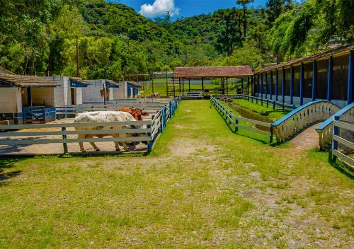 a cow standing next to a fence in a field at Vale Encantado - Eco Park & Hotel in Biritiba-Mirim