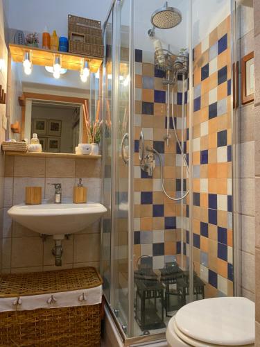 ein Bad mit einer Dusche, einem Waschbecken und einem WC in der Unterkunft Sunny house in Porto Santo Stefano