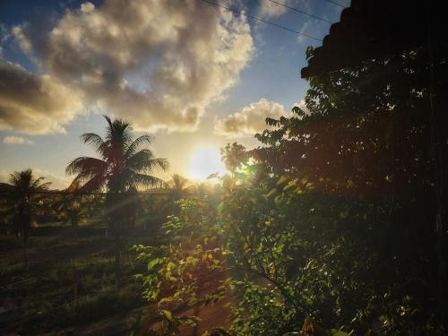 a view of the sun setting behind a palm tree at Pousada Maravilha Itacaré in Itacaré