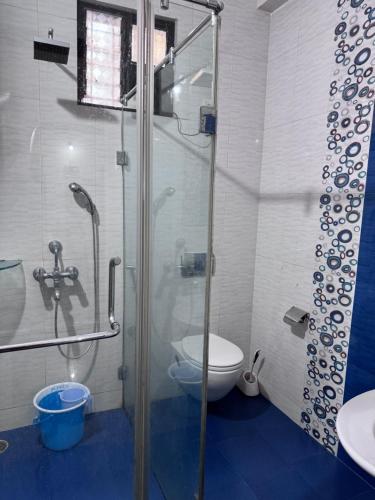 a bathroom with a shower and a toilet and a sink at Villa Almeida in Panaji